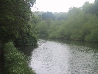 Looking downstream from peg 18