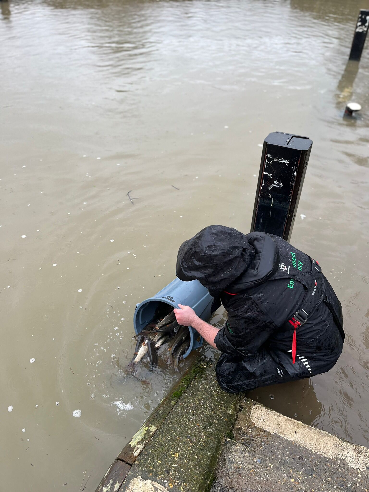 barbel release1