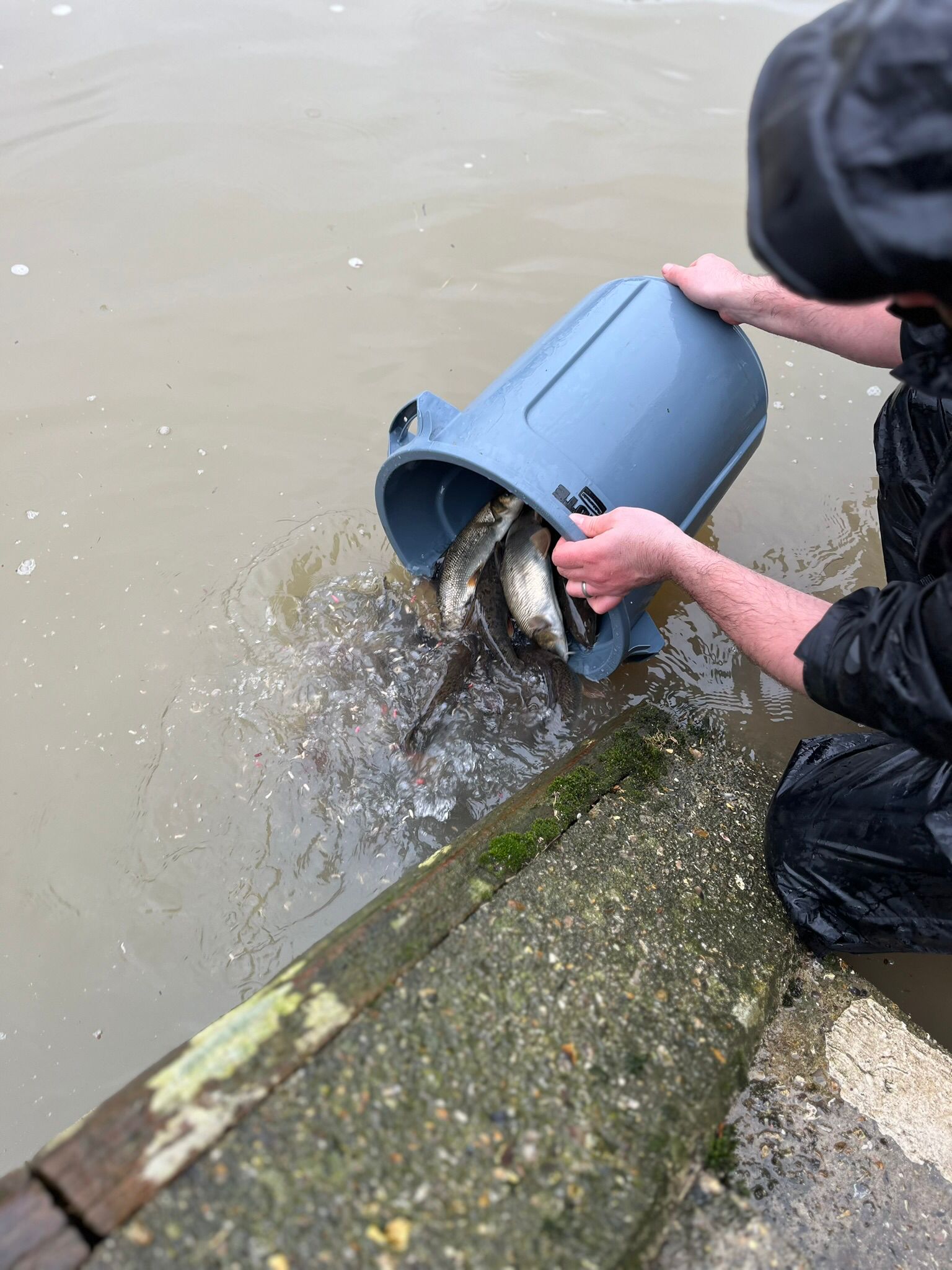 barbel release2