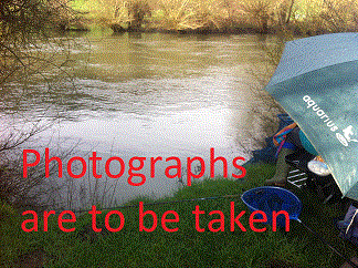 PEG 38 Pictures