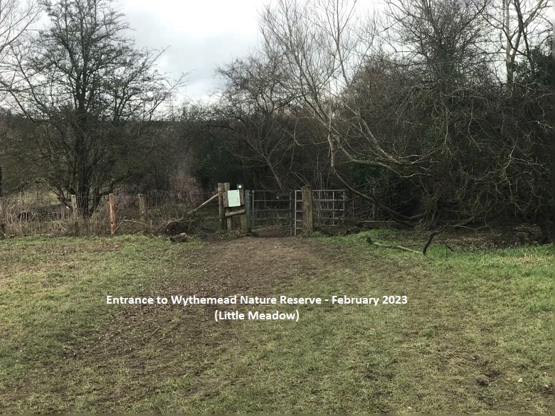 LARGE MEADOW ENTRANCE